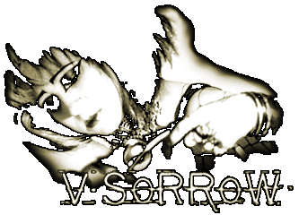 VSoRRoW